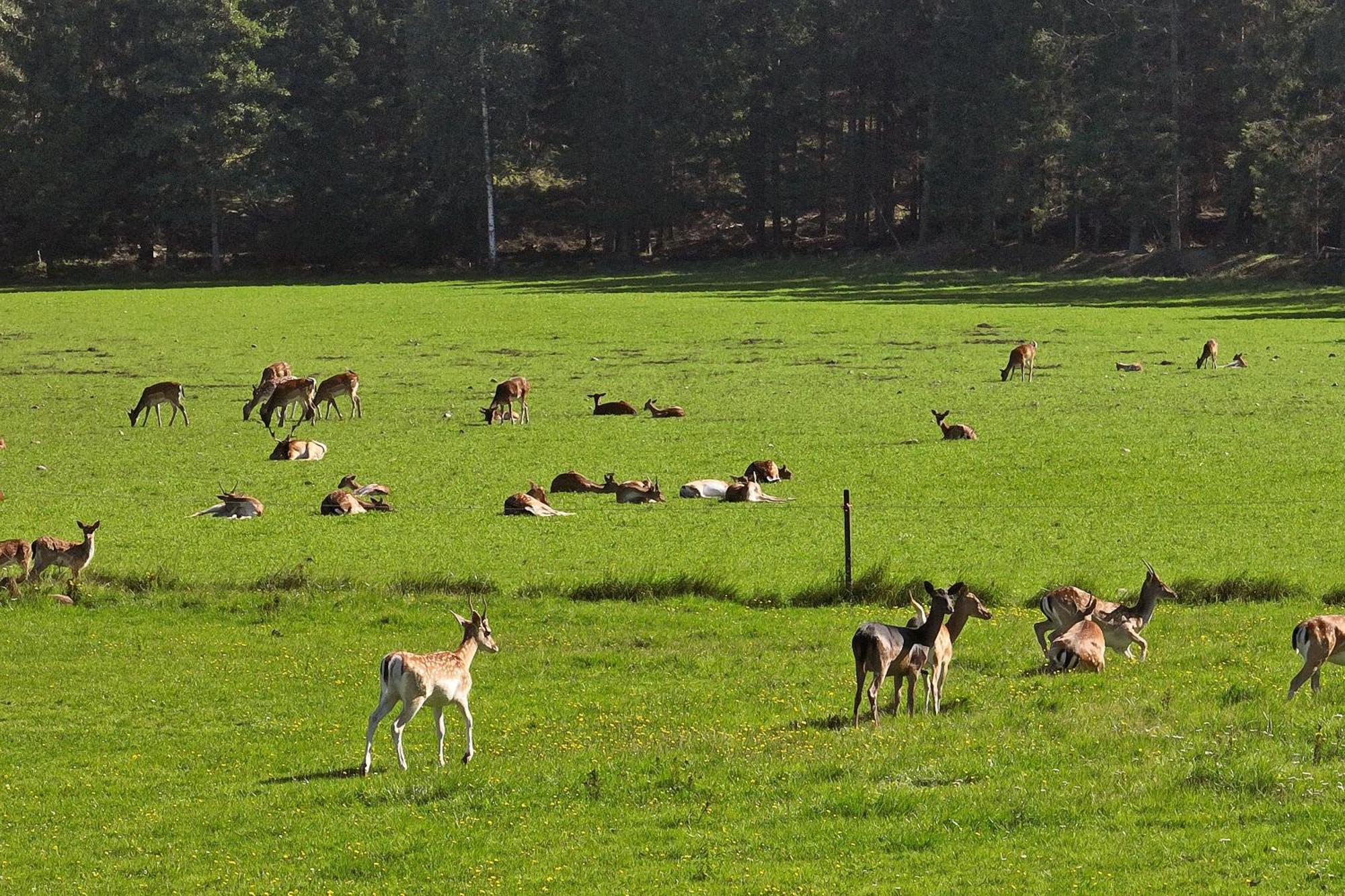 Siggesta Gård Hotell